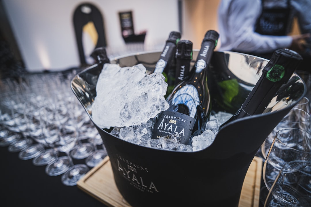 Champagne koelkast: waar je op moet letten bij de keuze